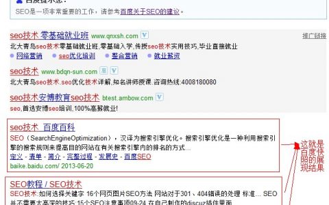 搜索SEO技术，截图百度快照的展现结果页