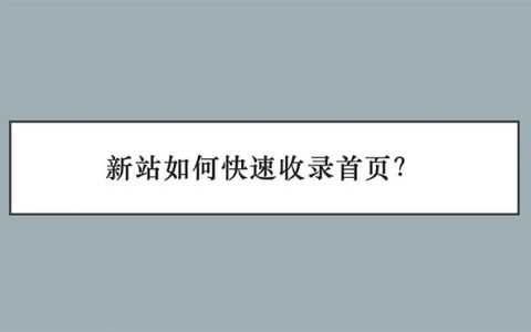 新站如何快速收录首页头图