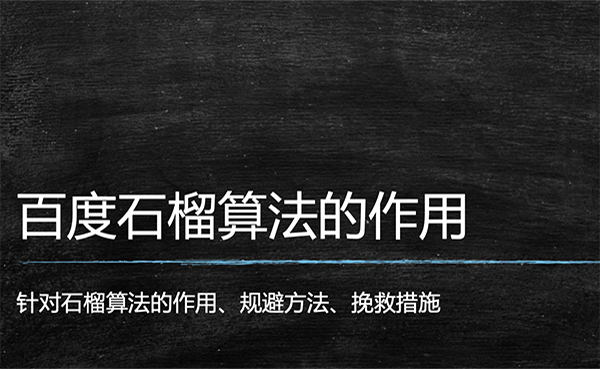 石榴算法的封面图