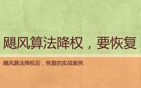 飓风算法降权后的恢复方法