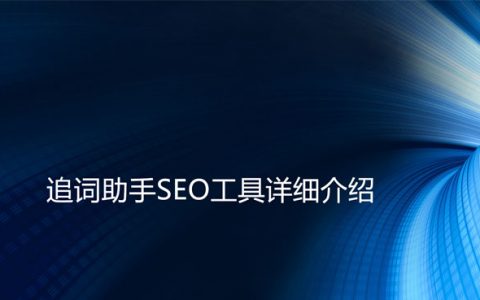 追词助手SEO工具详细介绍