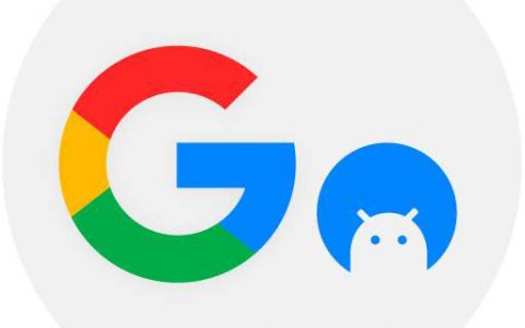 Google go Logo